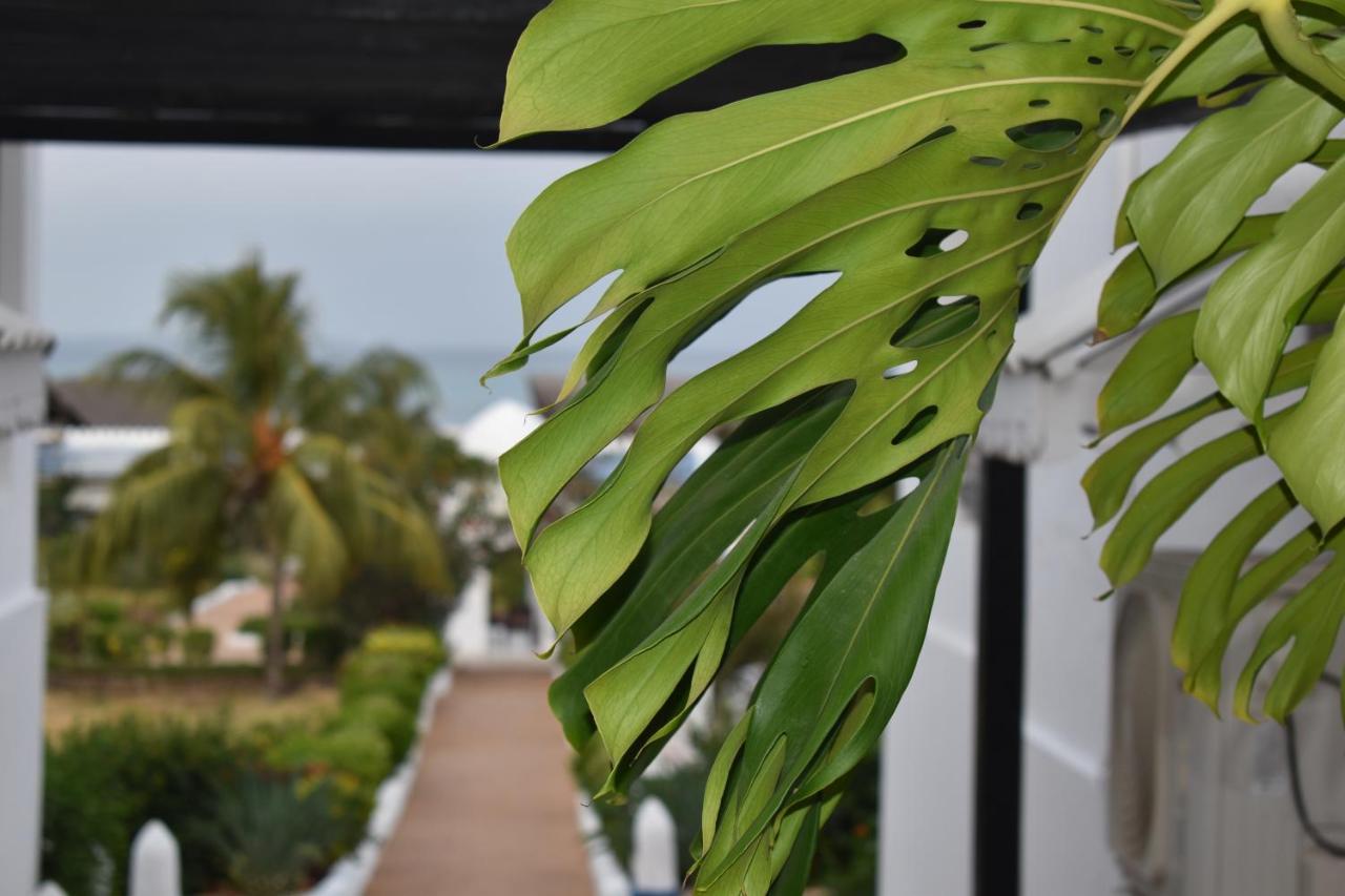 Kendwa Beach Resort エクステリア 写真