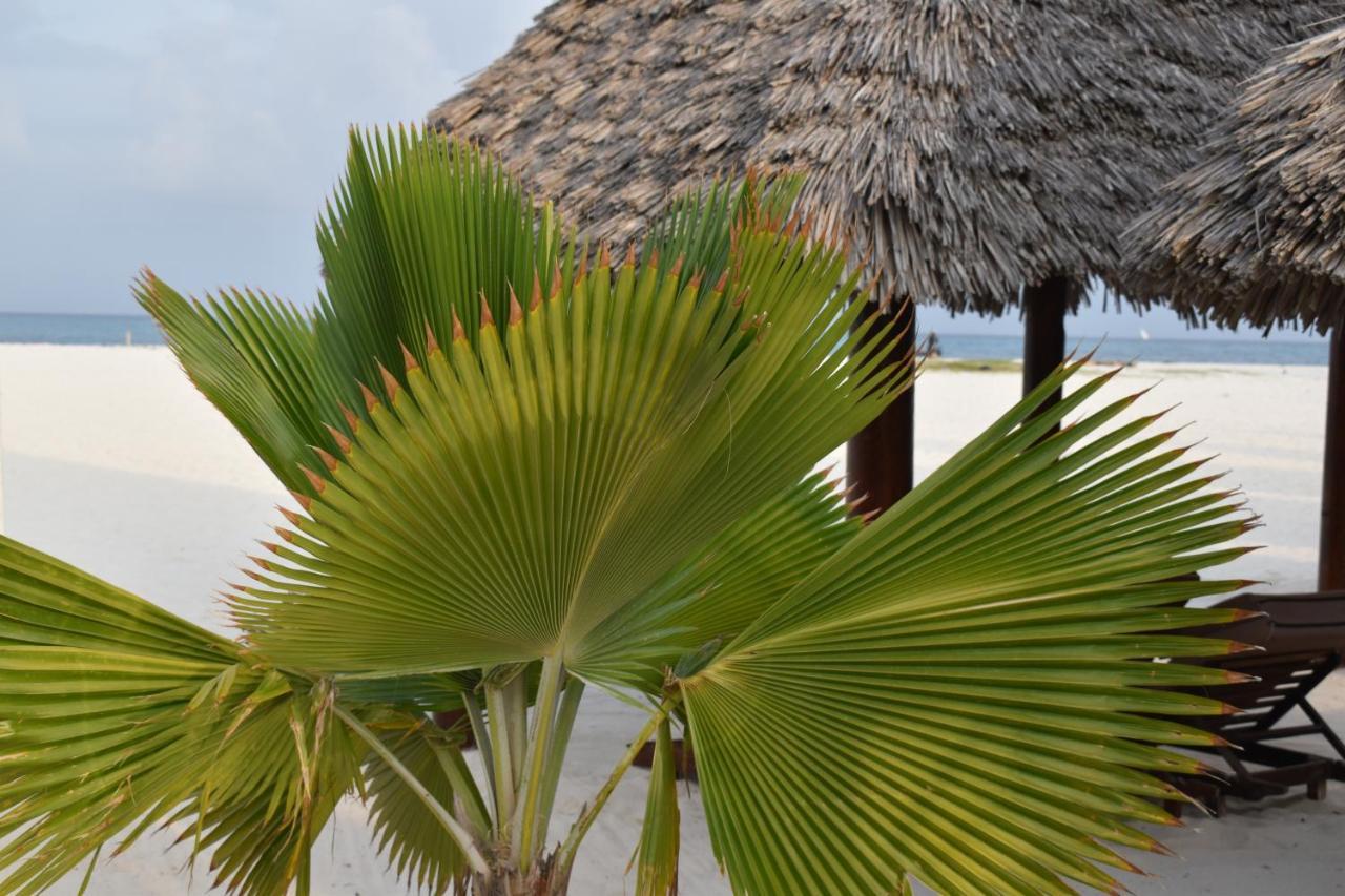Kendwa Beach Resort エクステリア 写真