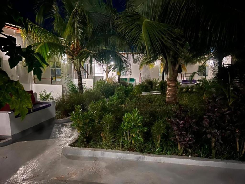 Kendwa Beach Resort エクステリア 写真